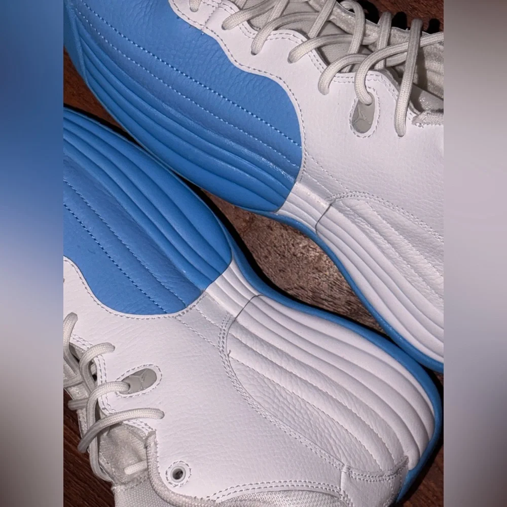Jordan’s teams jumpman pro retro 12